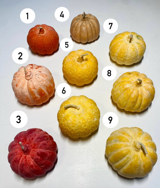 Assorted warm-colored pumpkin soy candles in various shades of orange, yellow, and red with textured surfaces and short stems.