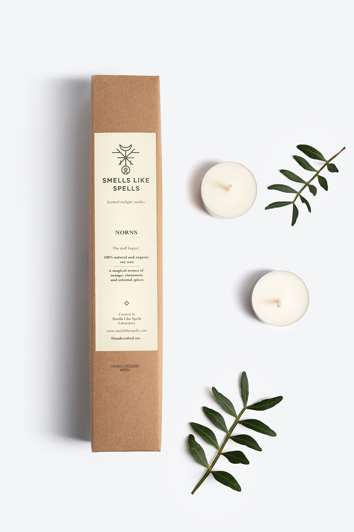 Scented tealight candles in kraft box with mango, cinnamon, and oriental spices aroma, accompanied by green leaves.