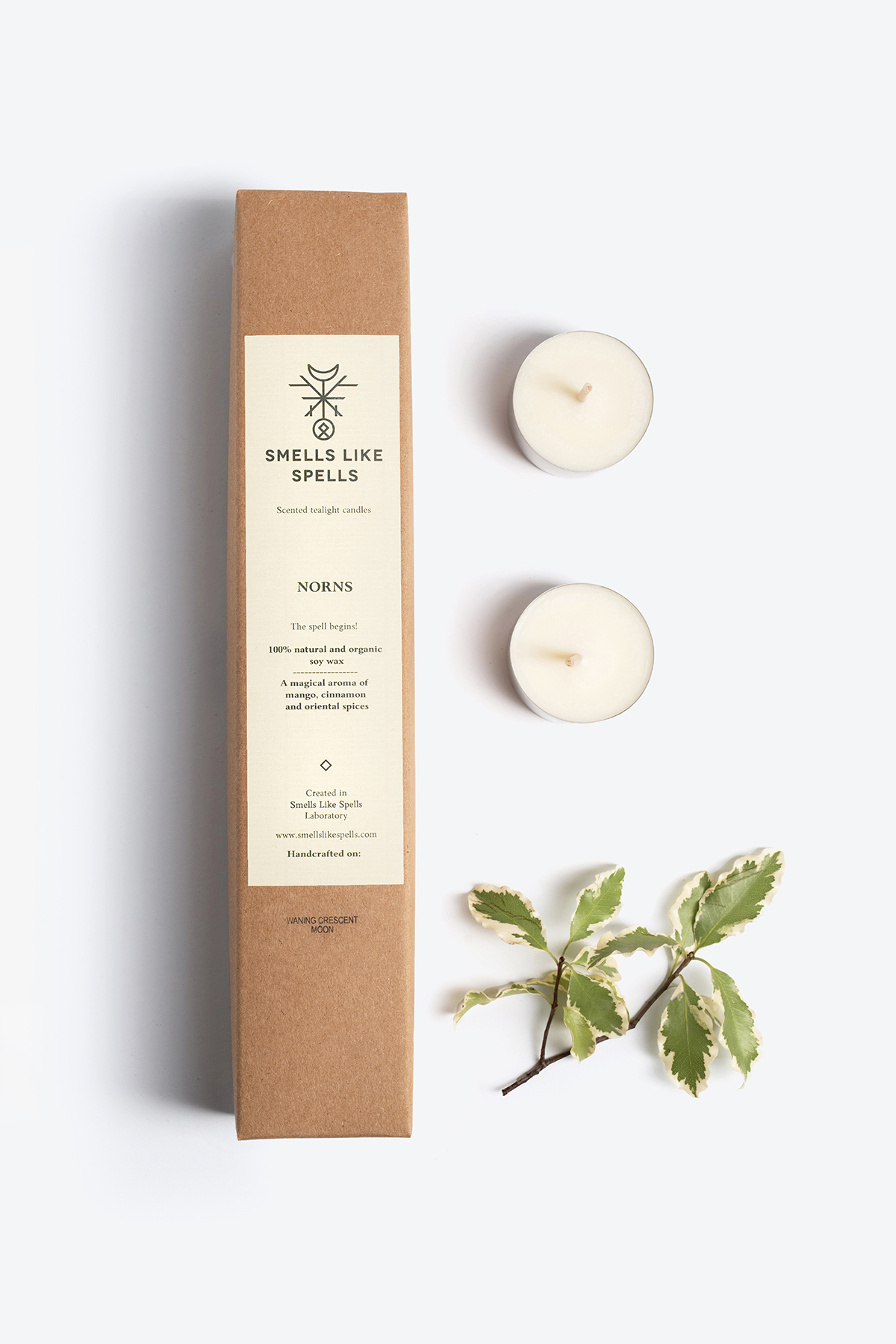 Scented tealight candles with mango, cinnamon, and oriental spices fragrance in eco-friendly packaging alongside decorative green leaves